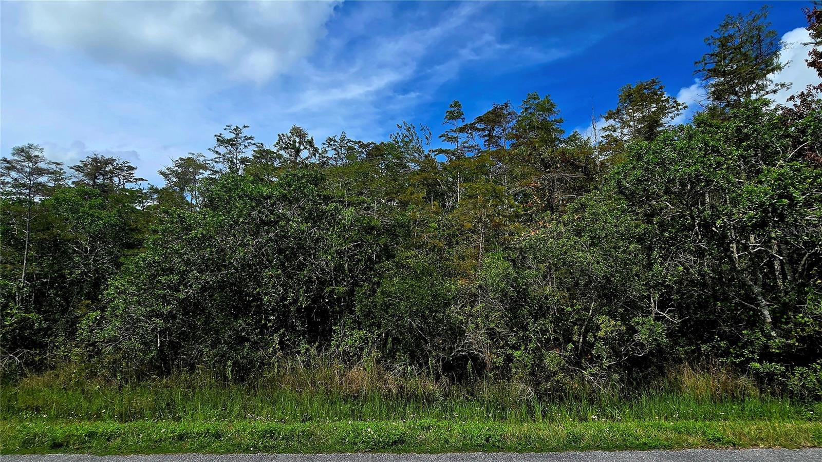 Pierre Ave #lot 162 Property Photo 1