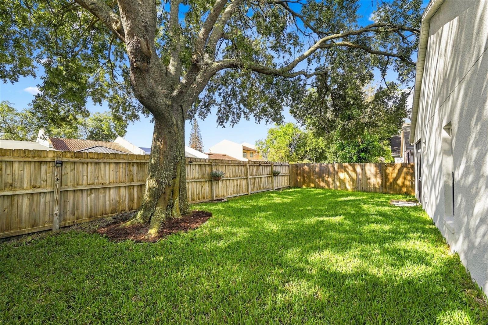 2354 Blue Sapphire Cir Property Photo 29
