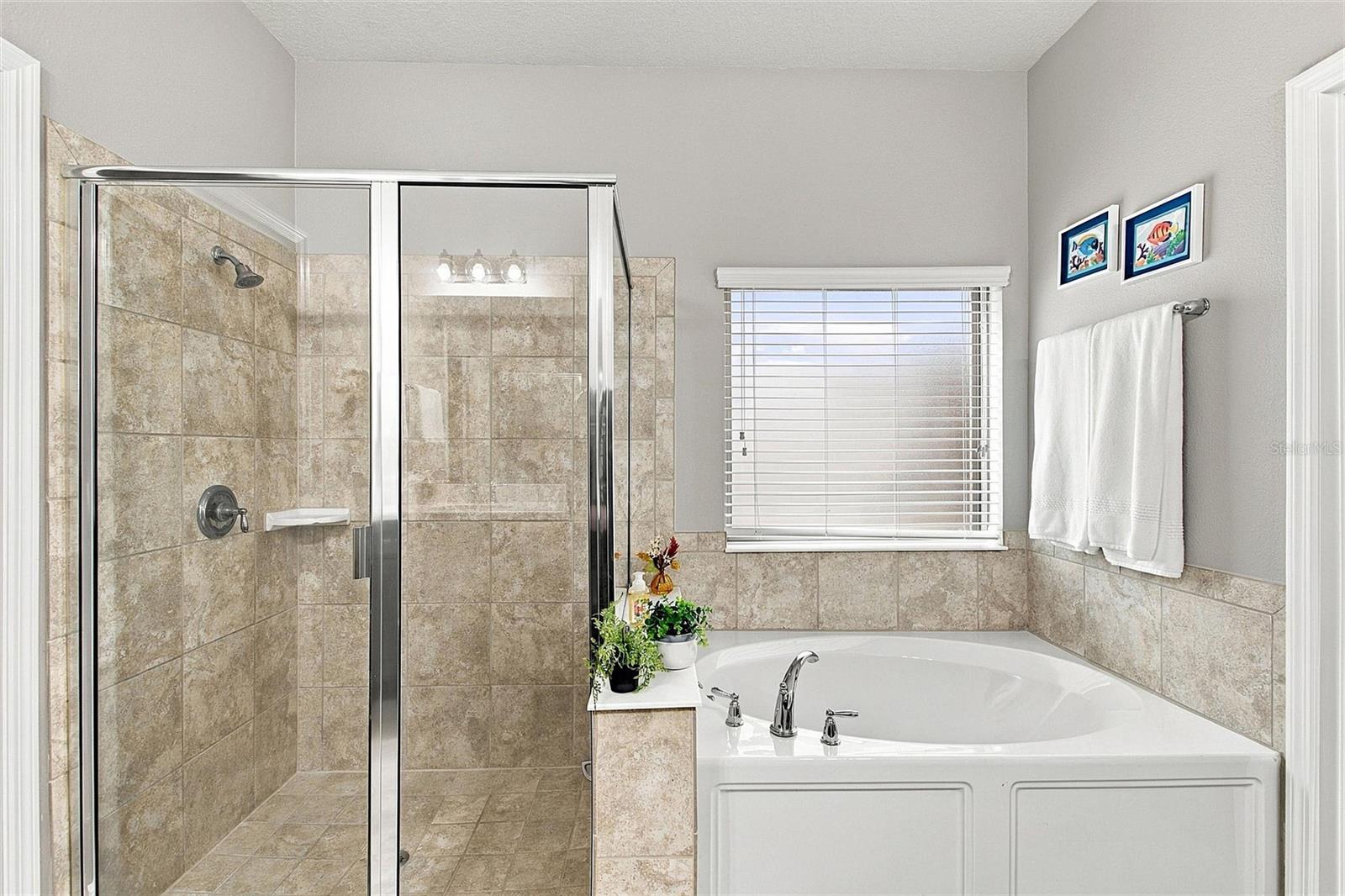 475 Palencia Pl Property Photo 31
