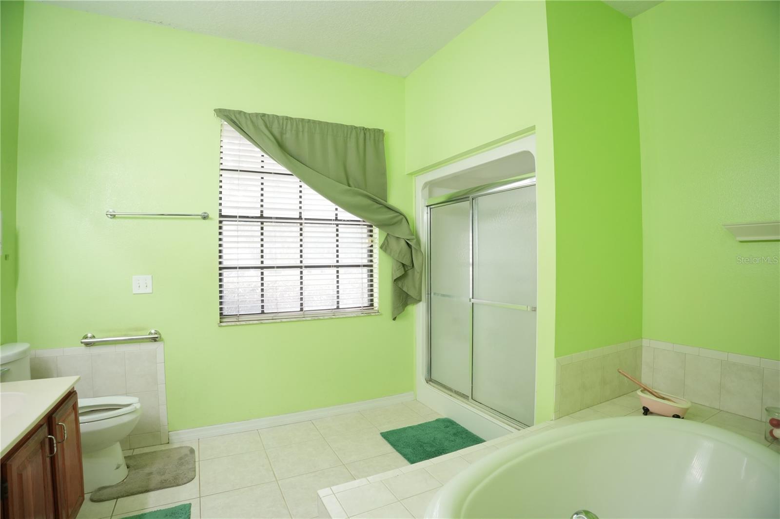 11318 Summer Wind Ct Property Photo 21