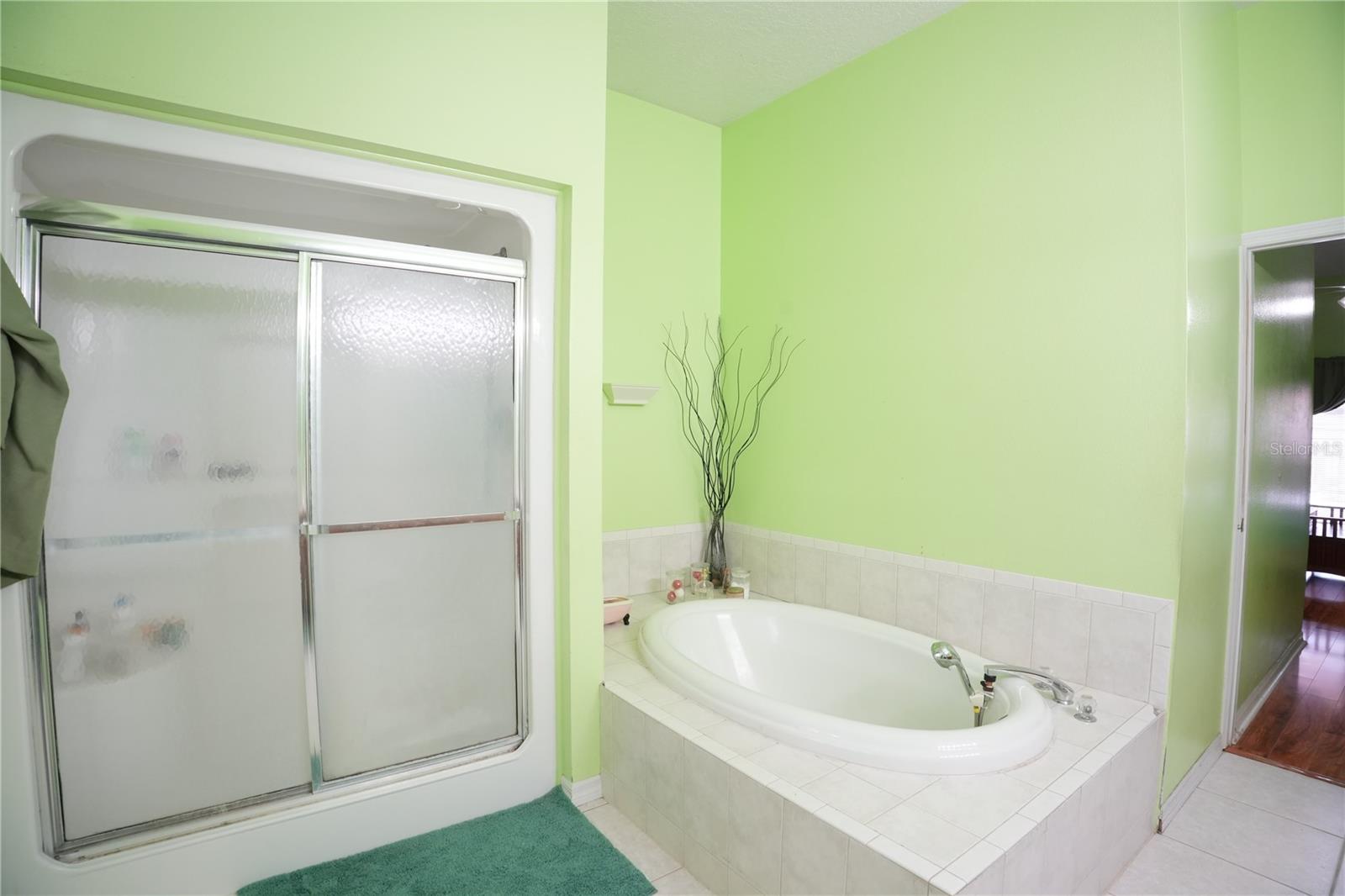 11318 Summer Wind Ct Property Photo 22