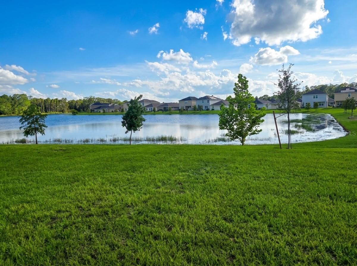 3620 Briarlynne Way Property Photo 5