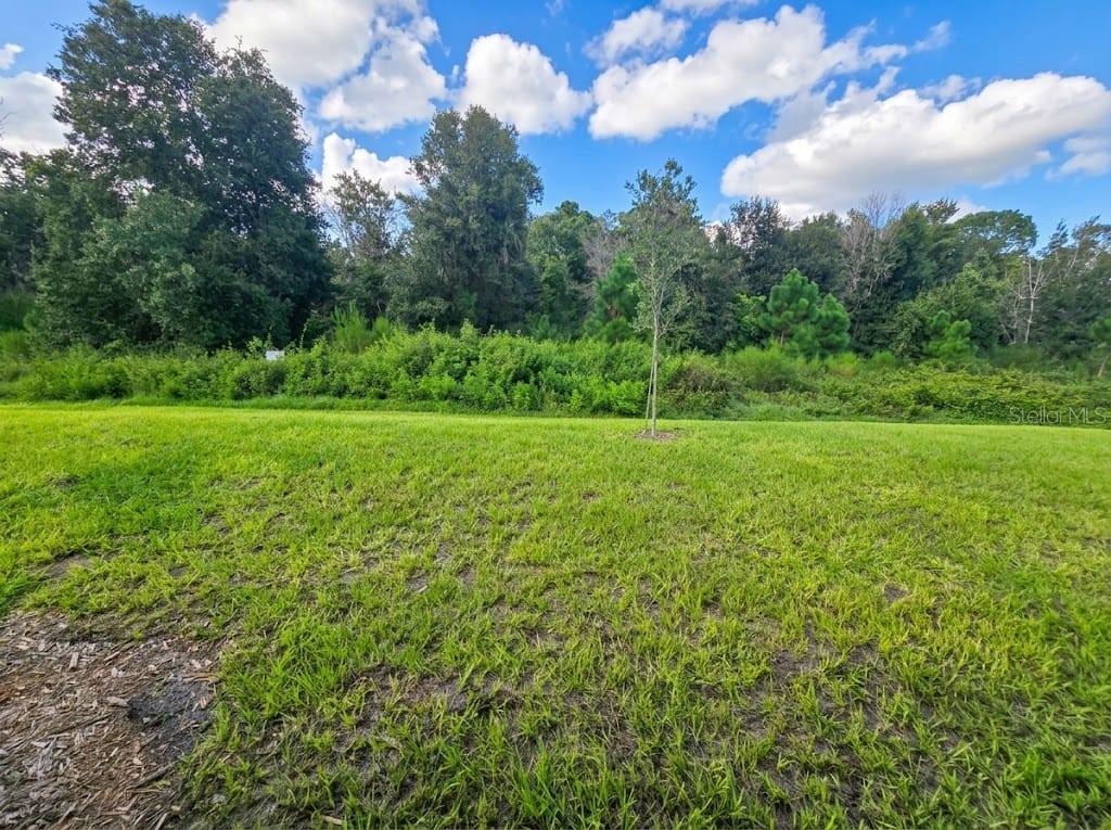 7714 Bent Tree Loop Property Photo 16