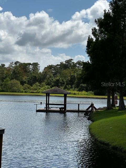 2602 Lodi Cir #105 Property Photo 23