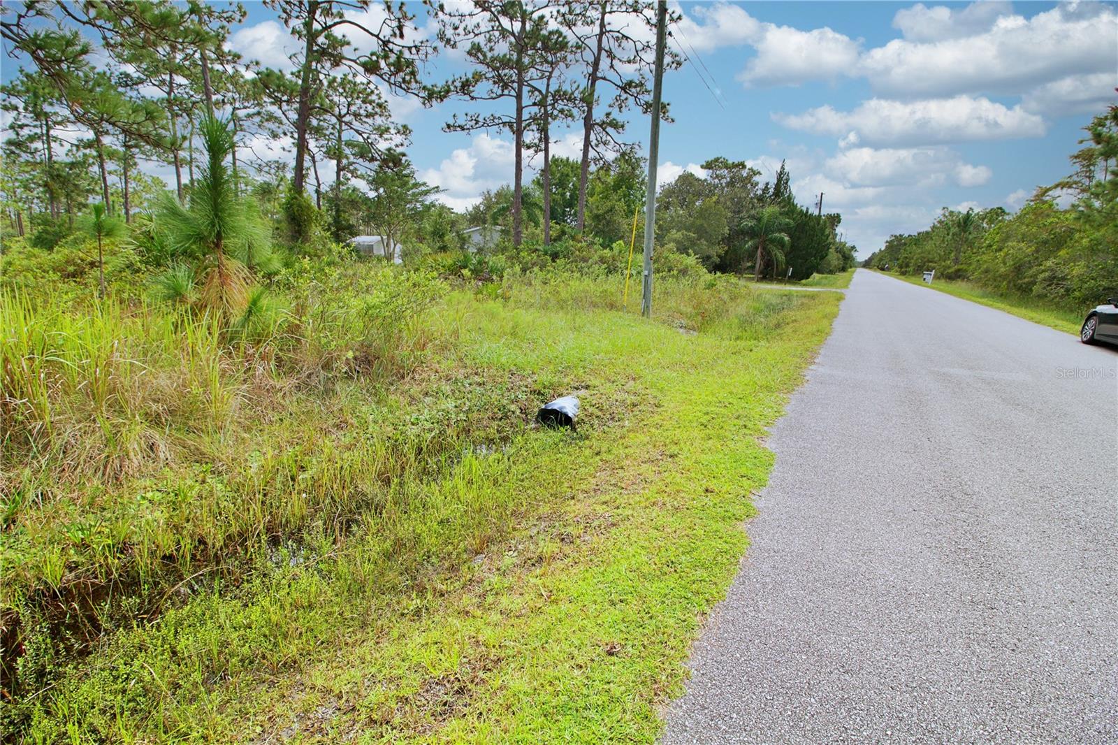 Pierre Ave Property Photo 19