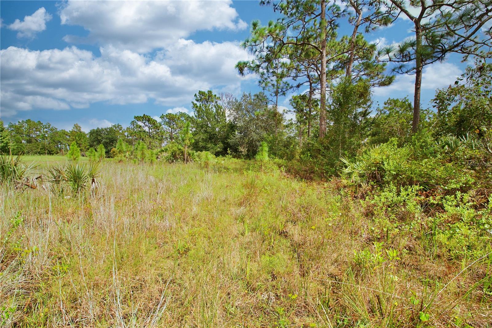 Pierre Ave Property Photo 20