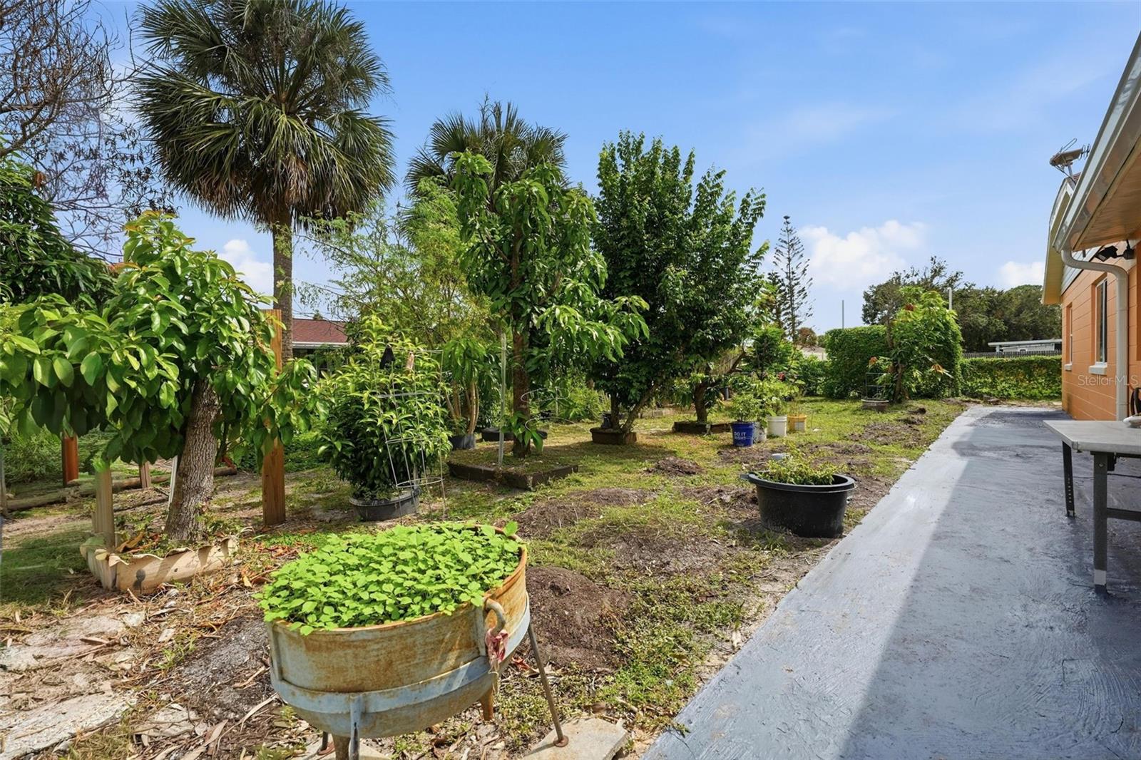 125 Pansy Ct Property Photo 15