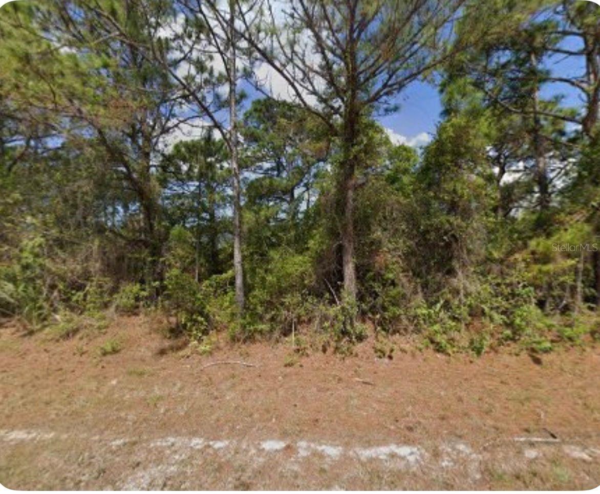 7383 Talley St Property Photo 2