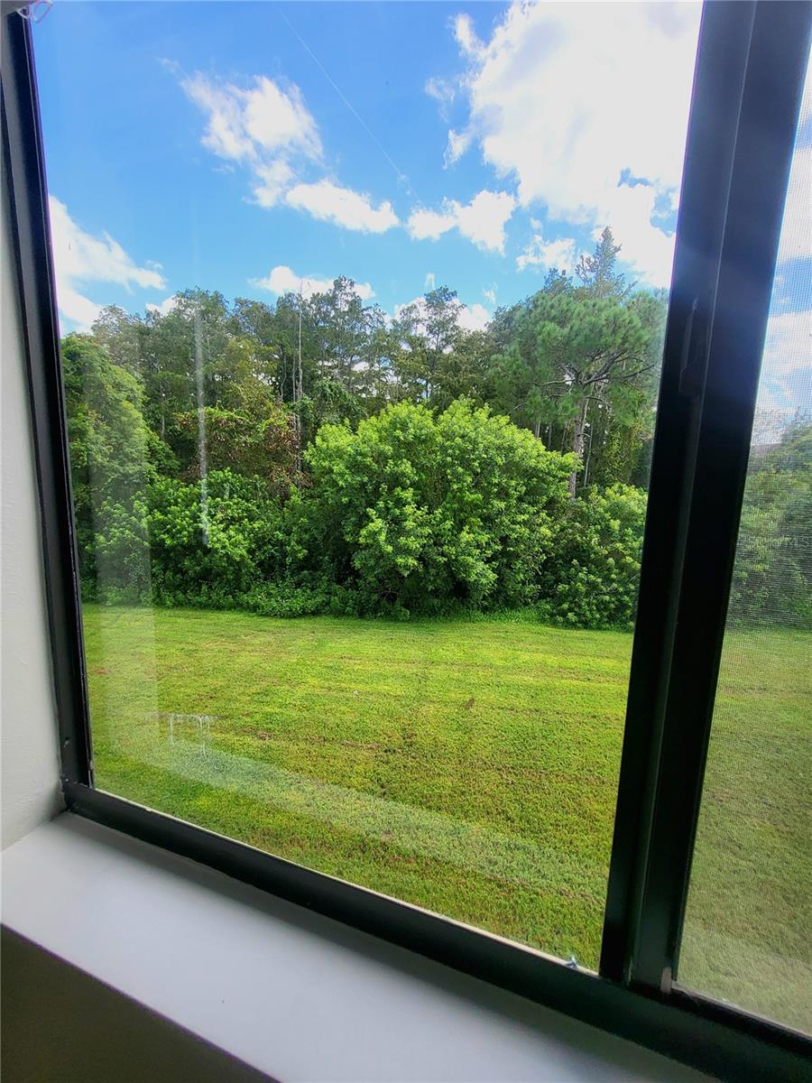 9548 Bacchus Trl Property Photo 14