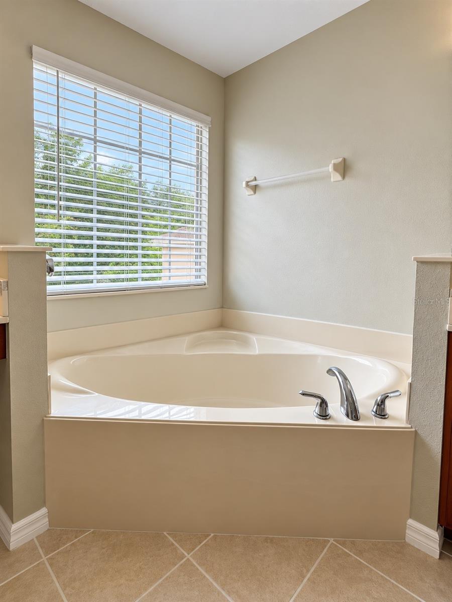 7438 Chelsea Harbour Dr Property Photo 21