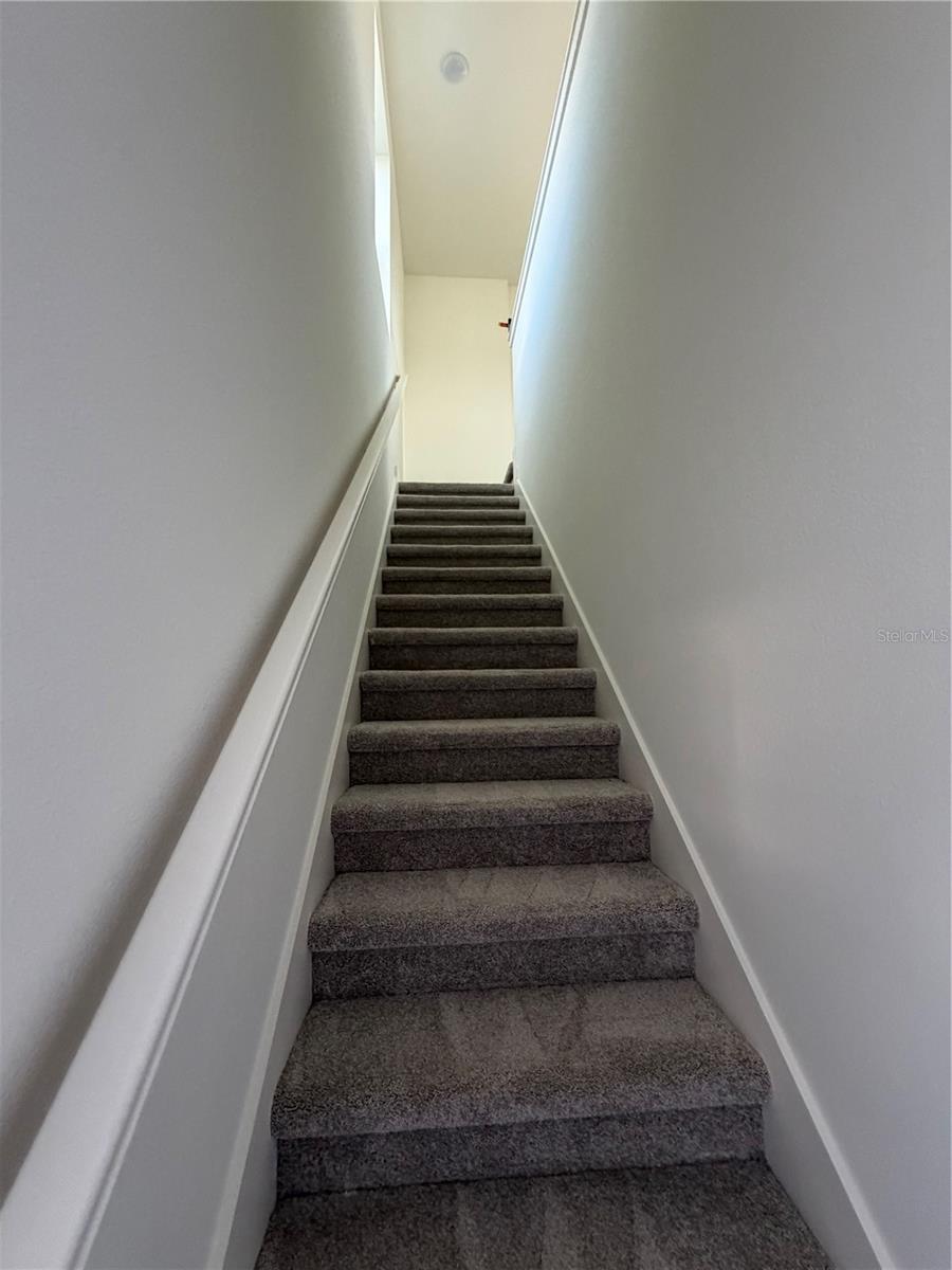2059 Iorio St Property Photo 31