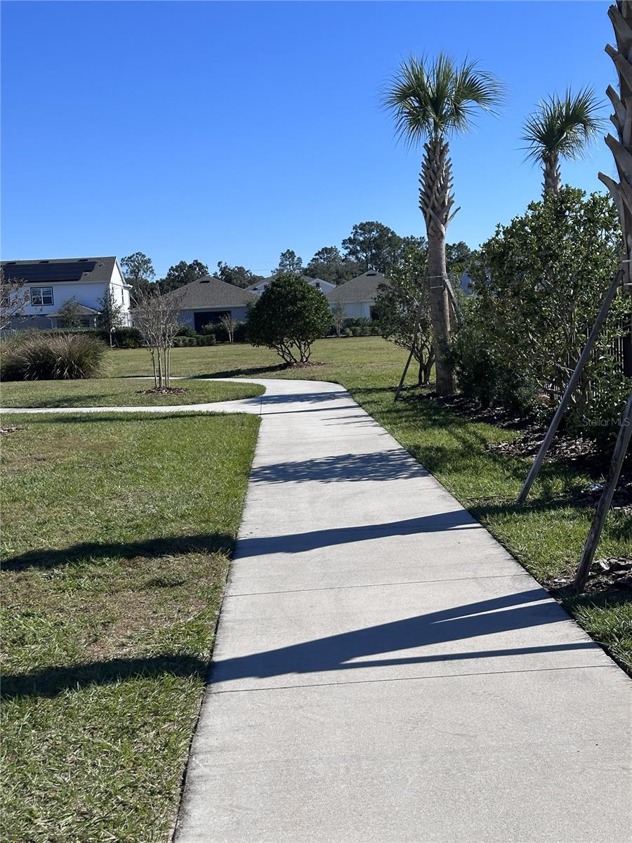 2059 Iorio St Property Photo 40
