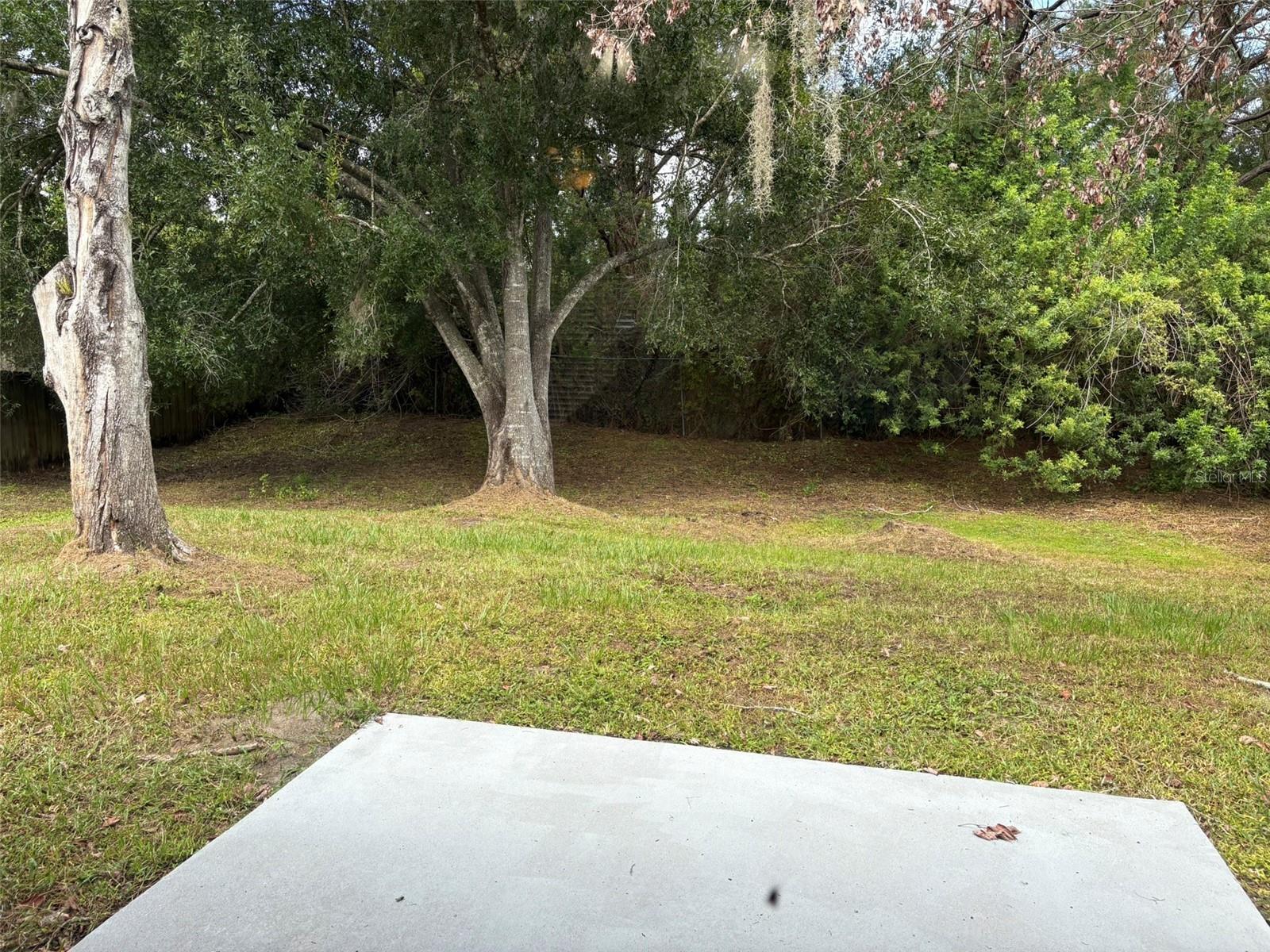 1937 Vienna Dr Property Photo 9