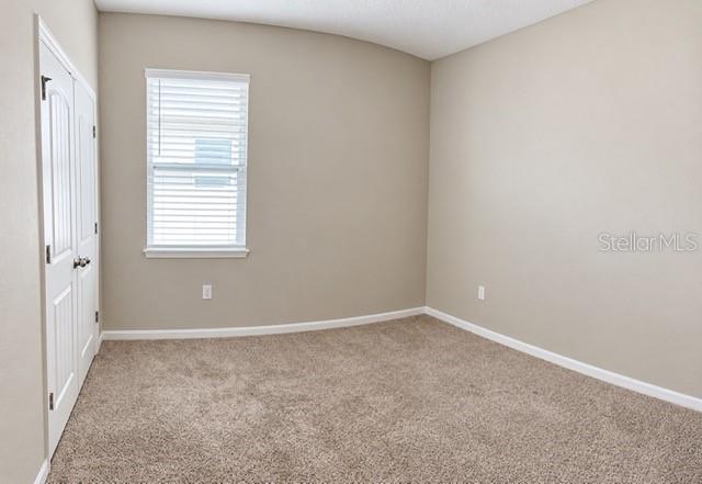 1437 Tawny Ridge Rd Property Photo 11