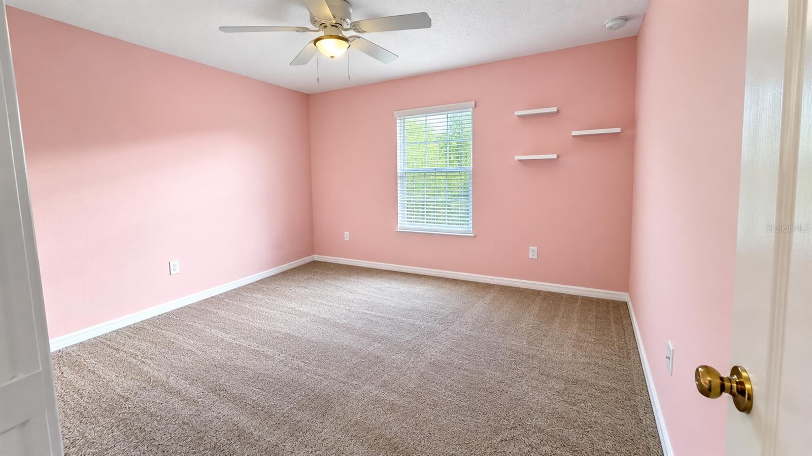 3031 Bargate St Property Photo 10