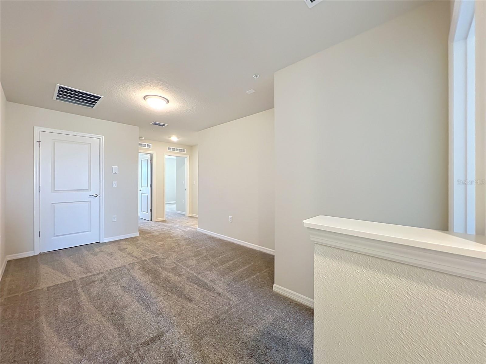 10678 Evening Star St Property Photo 29