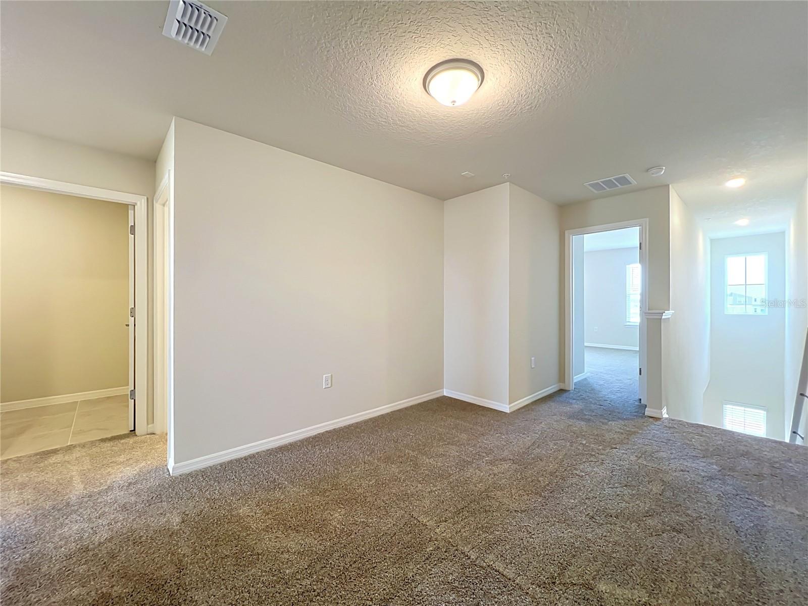 10678 Evening Star St Property Photo 30
