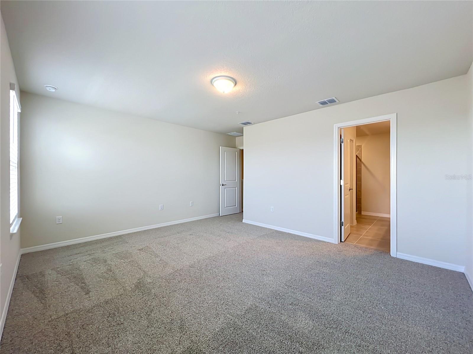 10678 Evening Star St Property Photo 33