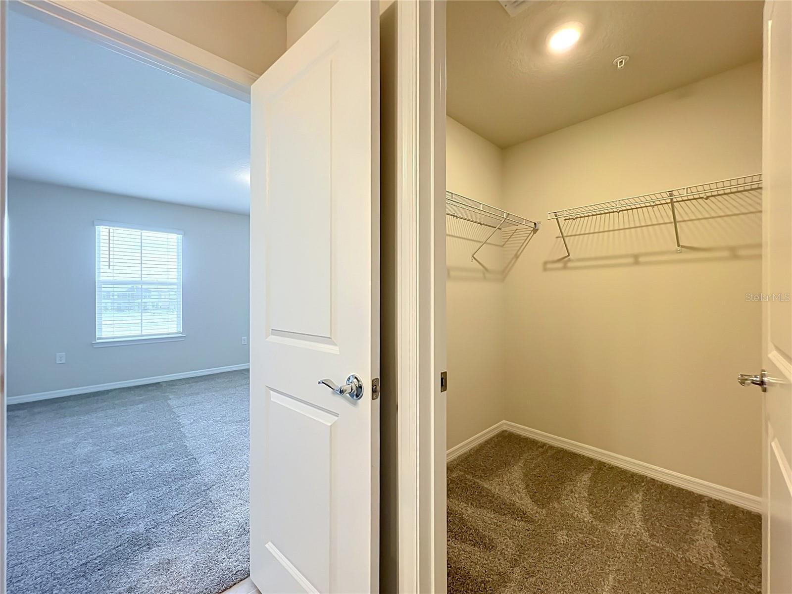 10678 Evening Star St Property Photo 37