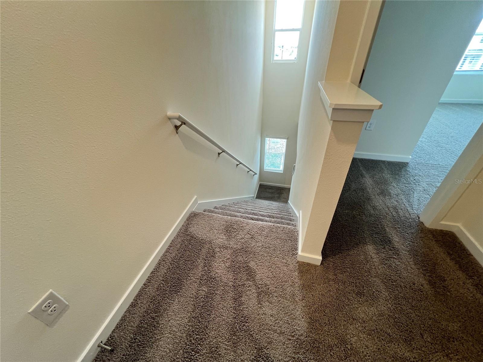 796 Preston Cove Dr Property Photo 15