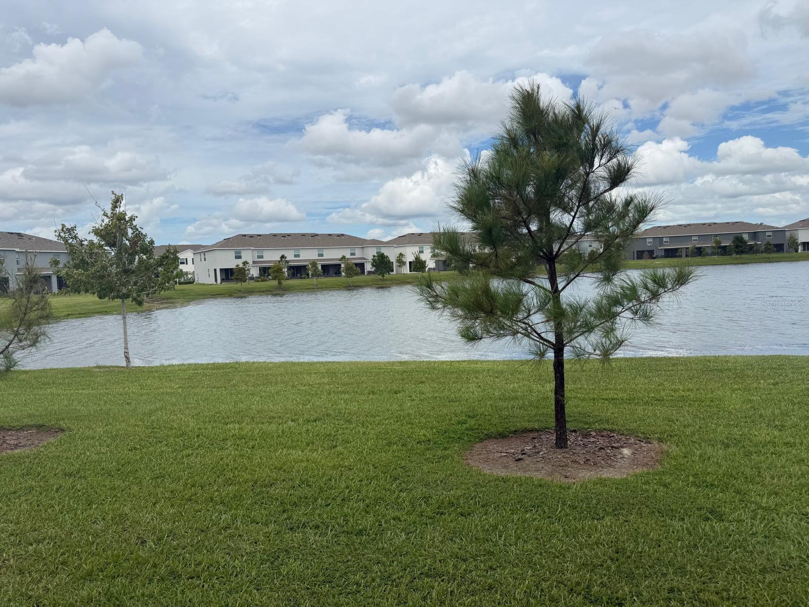 495 Mangrove Shade Cir Property Photo 30