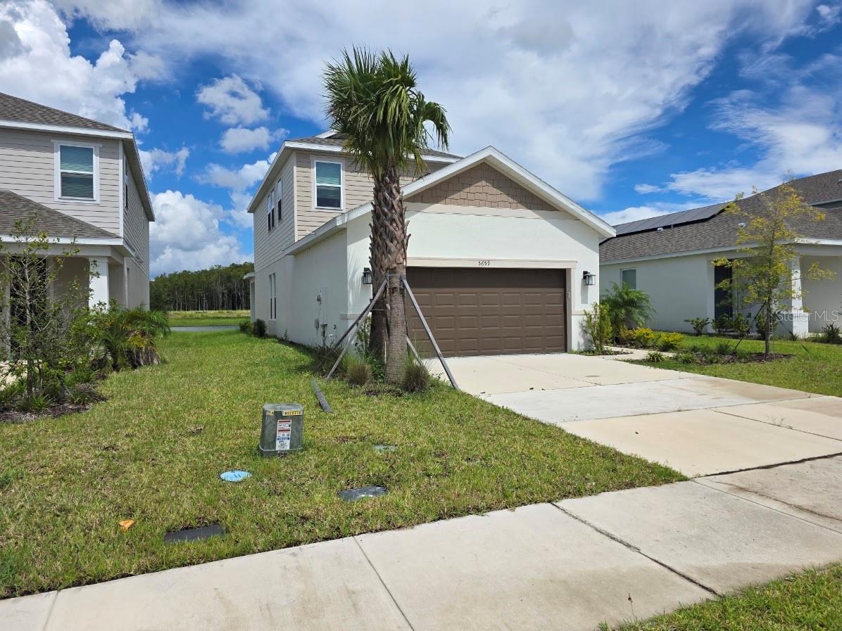 5659 Ficus Aurea St Property Photo 2