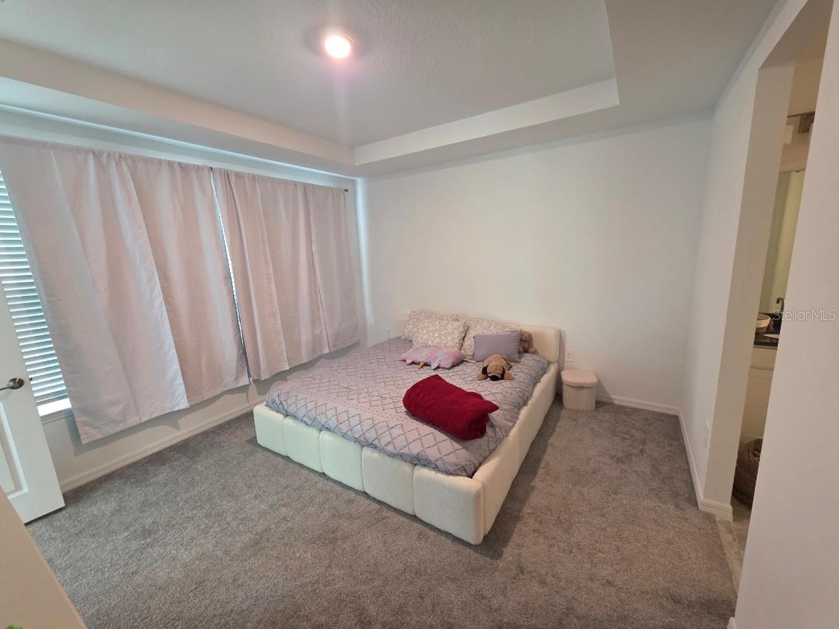 5659 Ficus Aurea St Property Photo 12