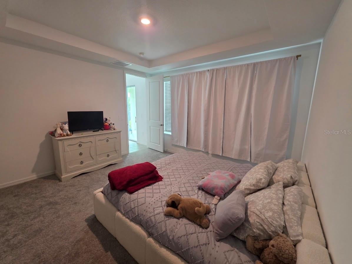 5659 Ficus Aurea St Property Photo 13
