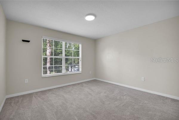 12703 Moss Park Ridge Dr Property Photo 41