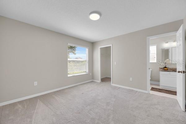 12703 Moss Park Ridge Dr Property Photo 47