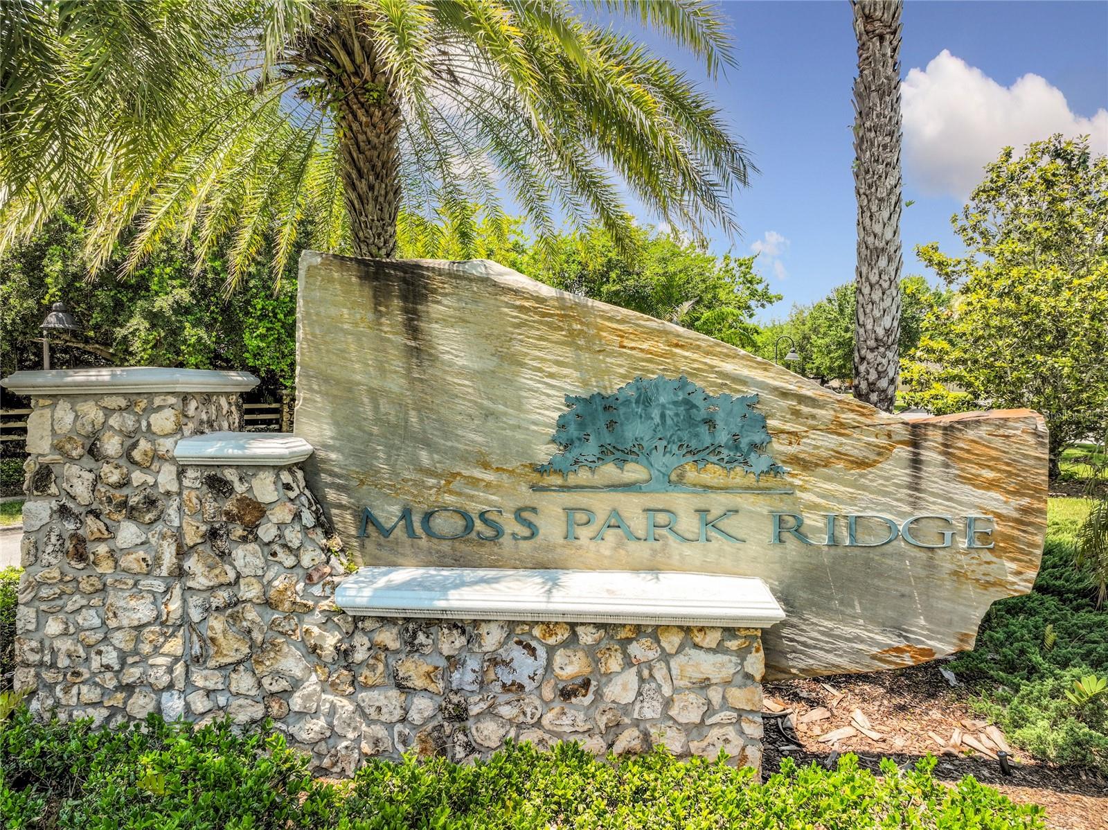12703 Moss Park Ridge Dr Property Photo 75