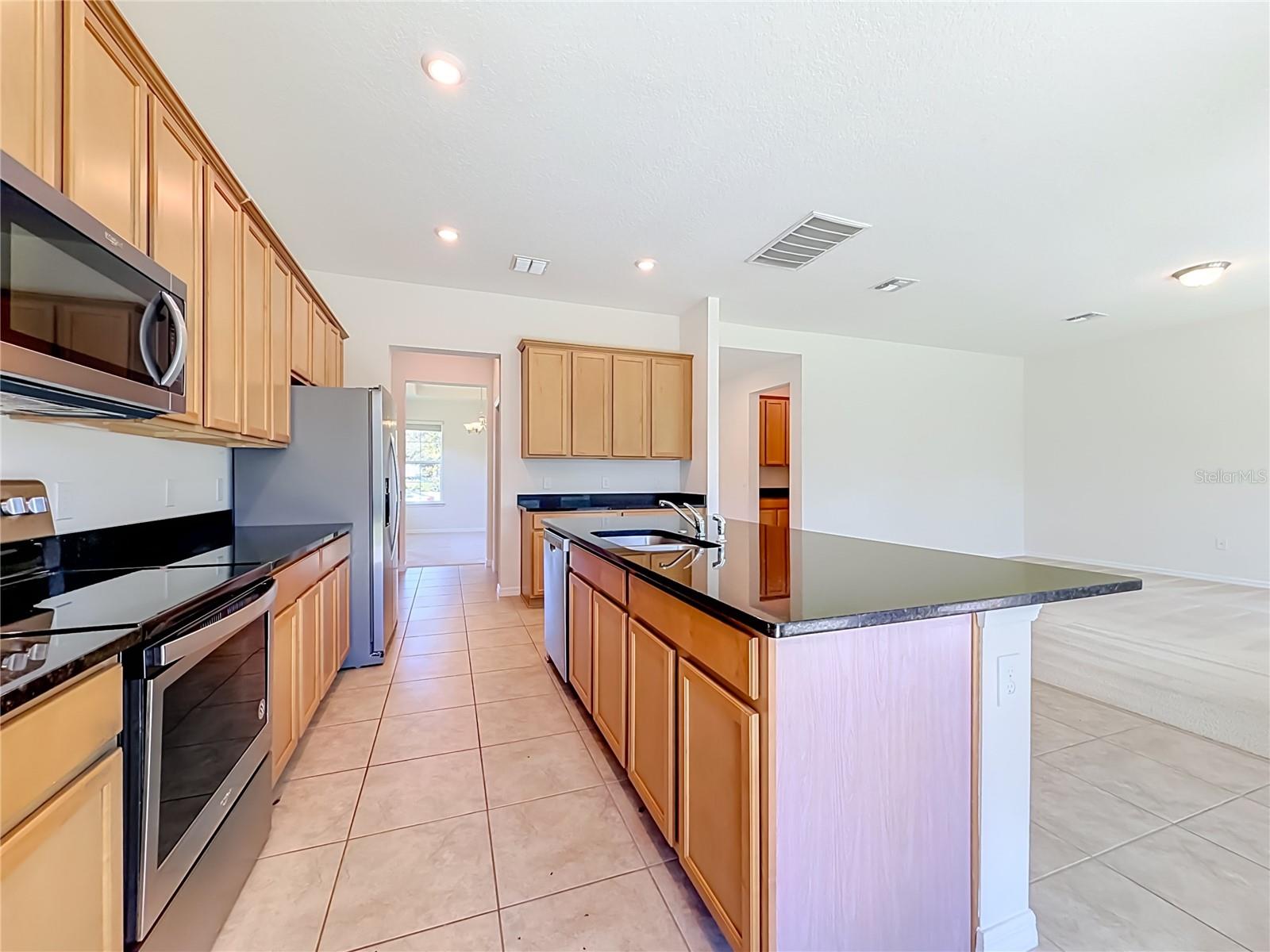 10079 Austrina Oak Loop Property Photo 15