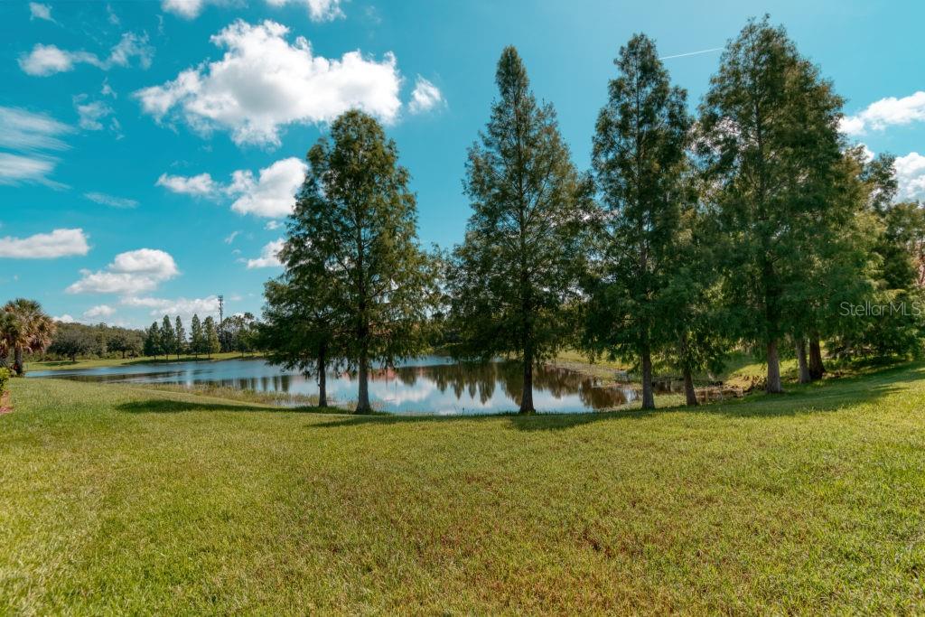 3432 Fallbrook Dr Property Photo 37