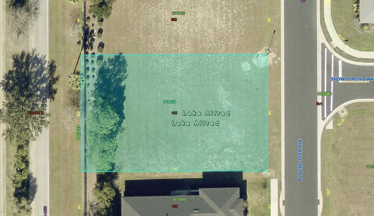 199 BLAZING STAR AVE Property Photo 1