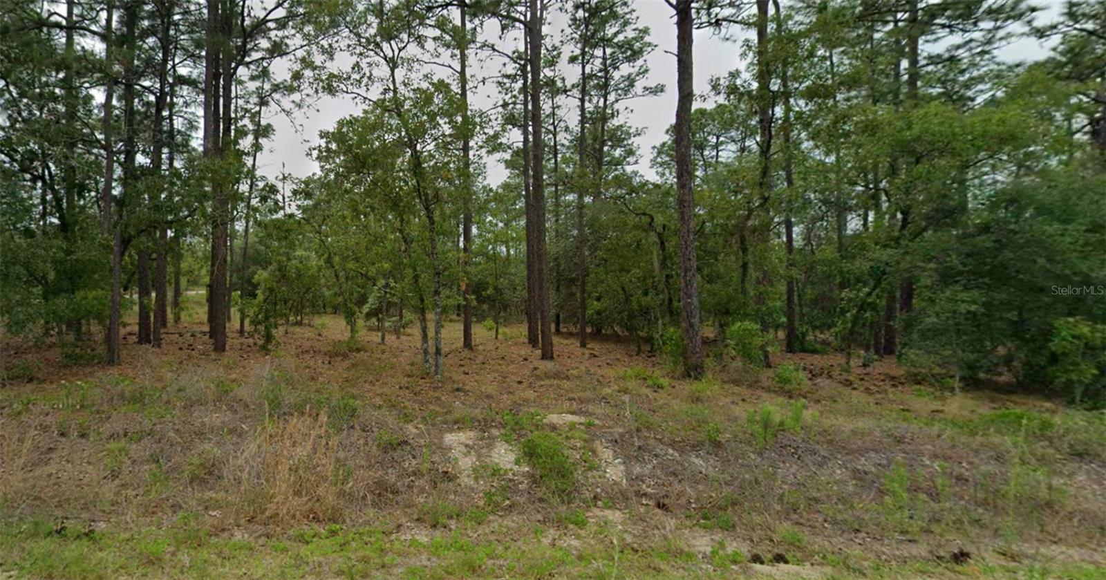 SOUTHEAST 129TH COURT Property Photo 1