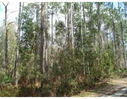 T2505952 Property Photo 1