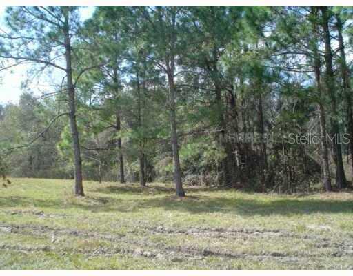 T2505952 Property Photo 2