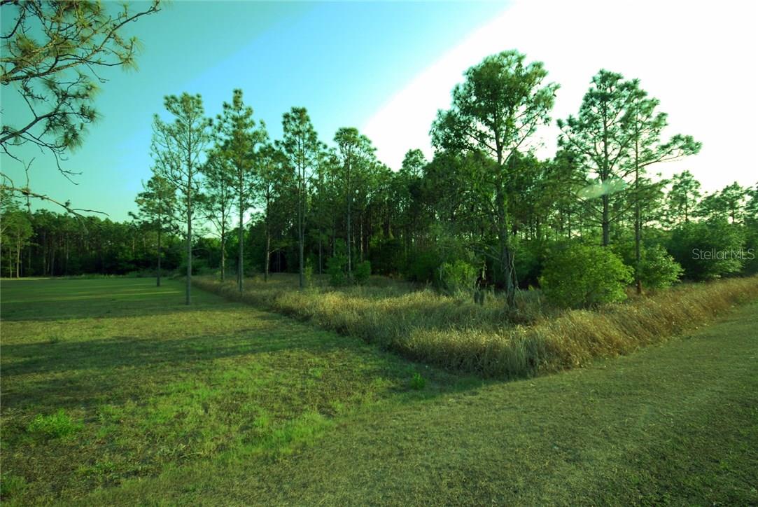 30150 Overpass Rd Property Photo 4