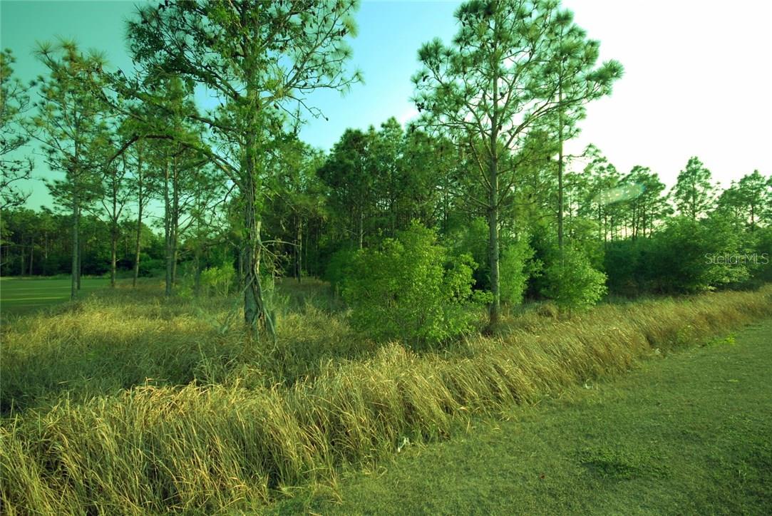 30150 Overpass Rd Property Photo 5