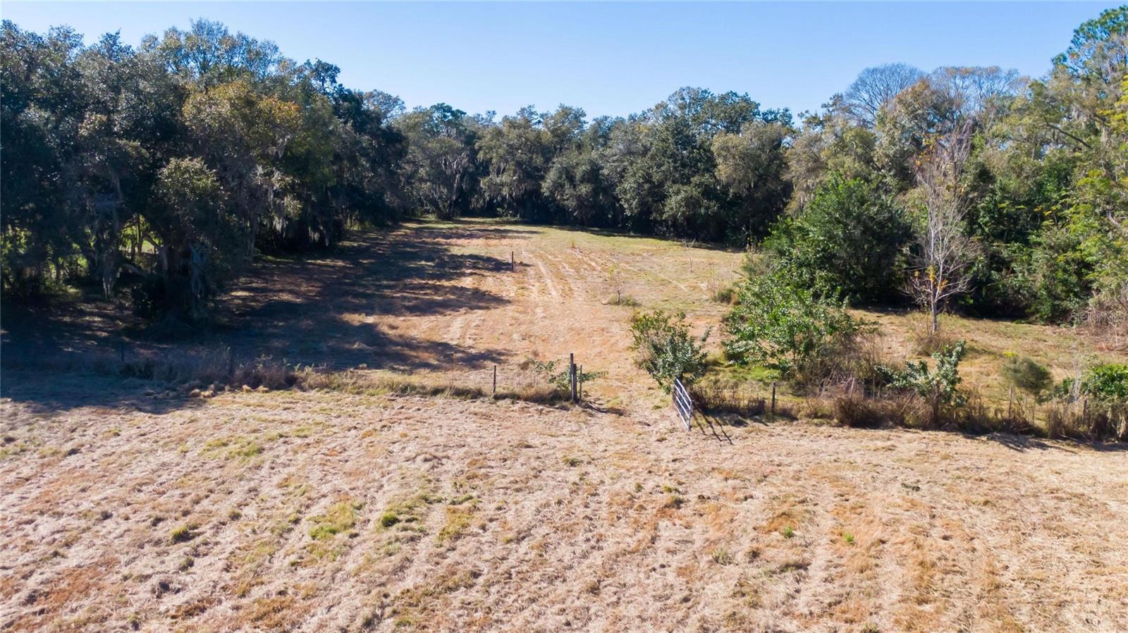 S. Forbes Rd Property Photo 11