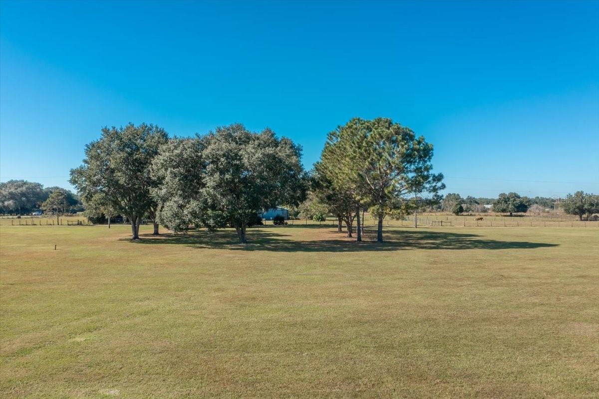31935 County Road 52 Property Photo 4