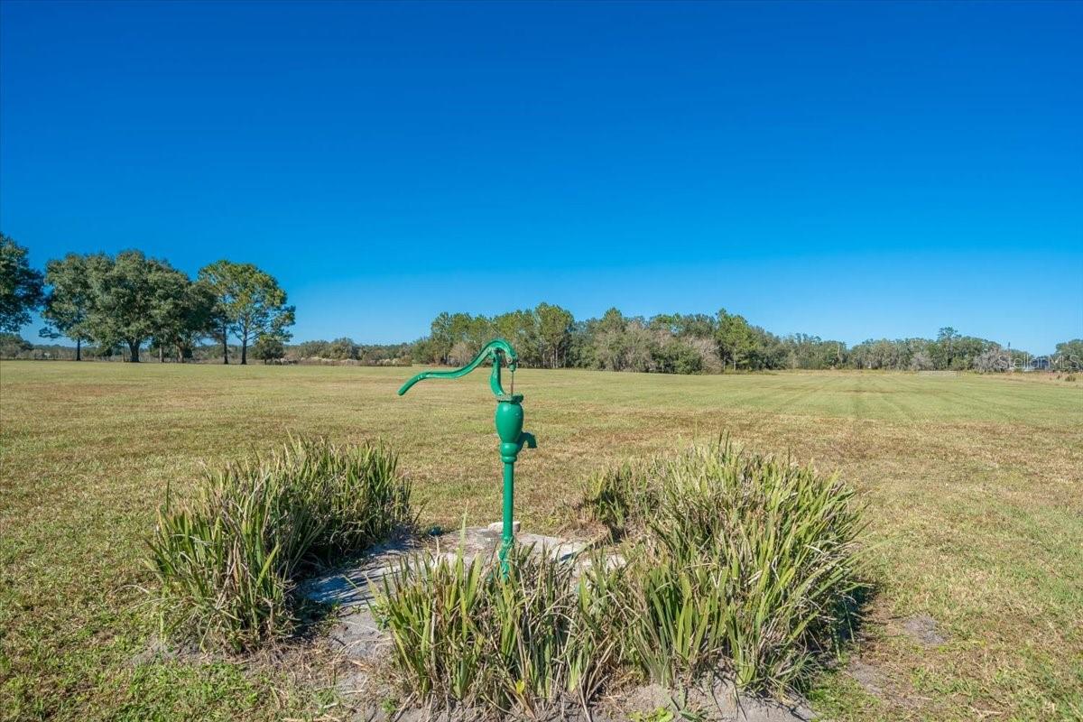 31935 County Road 52 Property Photo 16