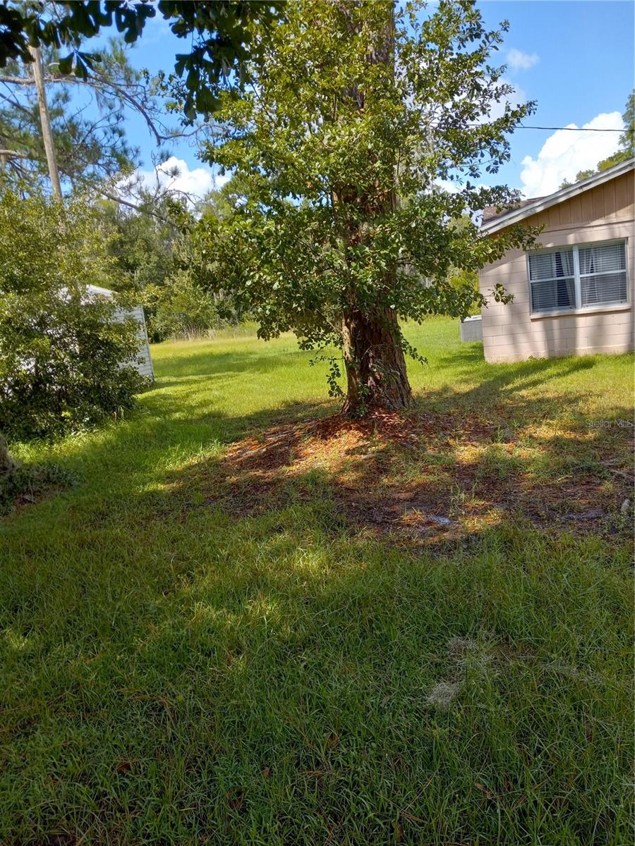 2902 W Lutz Lake Fern Rd Property Photo 5