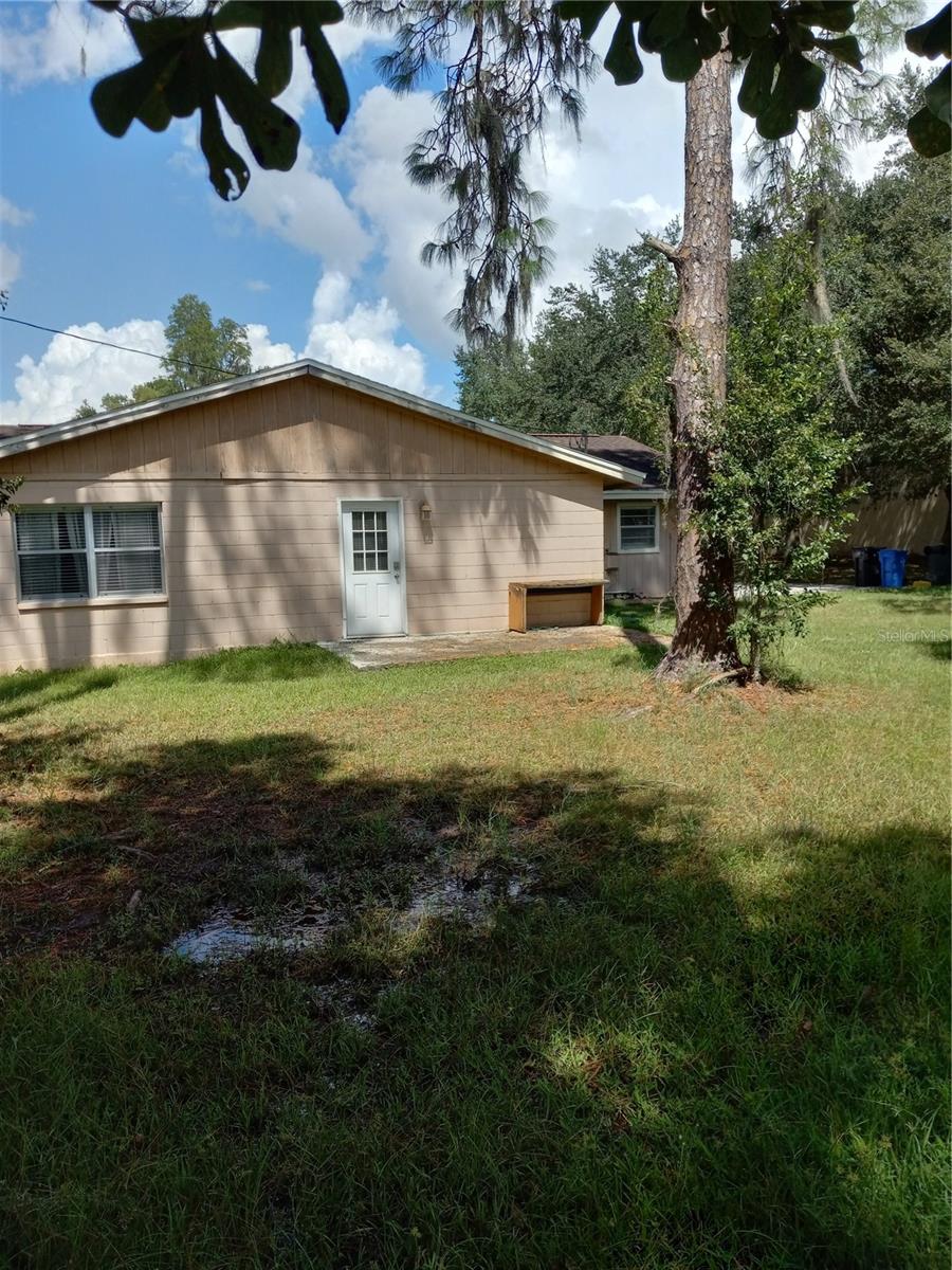 2902 W Lutz Lake Fern Rd Property Photo 6
