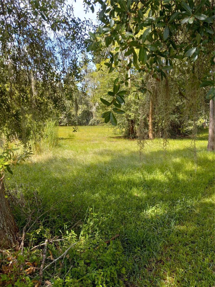 2902 W Lutz Lake Fern Rd Property Photo 8