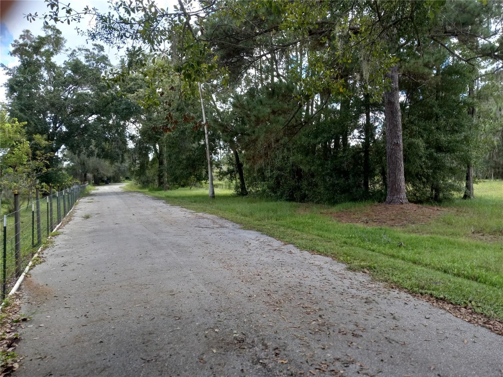 2902 W Lutz Lake Fern Rd Property Photo 11