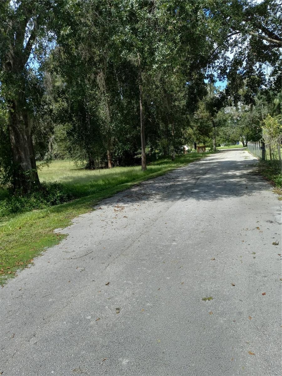 2902 W Lutz Lake Fern Rd Property Photo 12