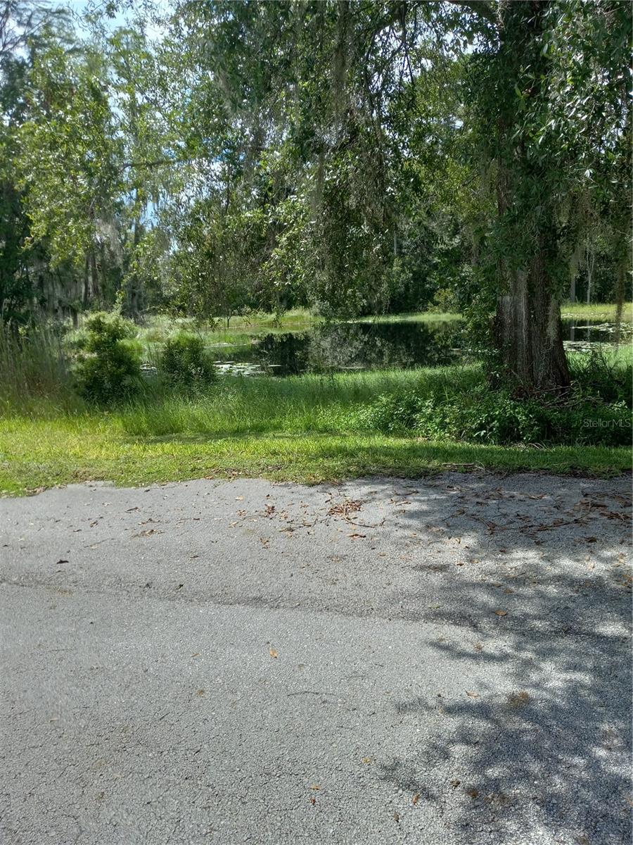 2902 W Lutz Lake Fern Rd Property Photo 13