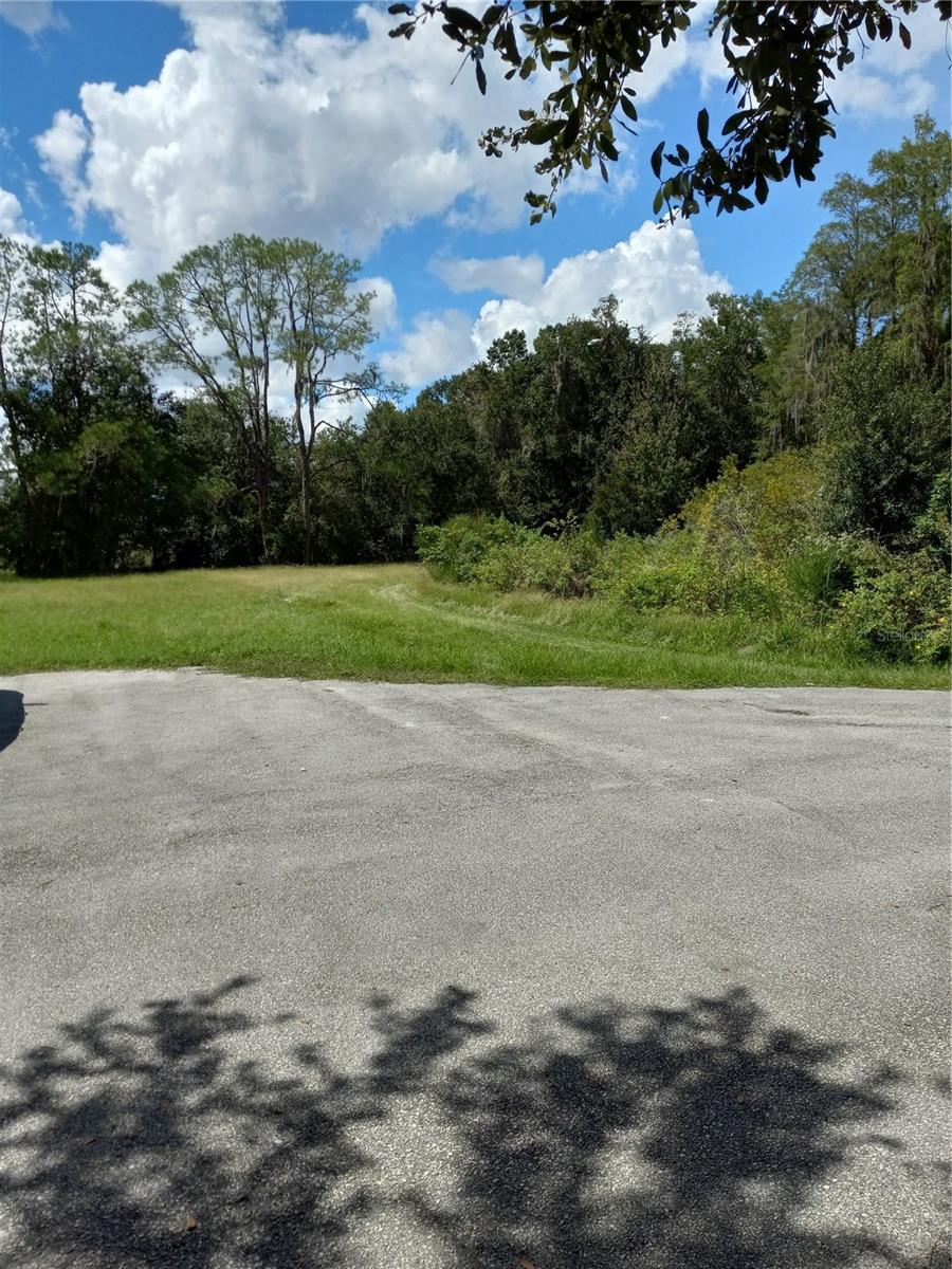 2902 W Lutz Lake Fern Rd Property Photo 15
