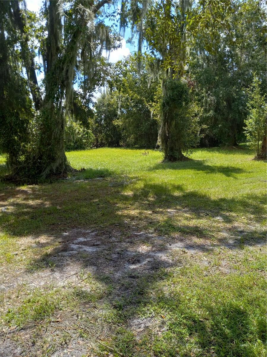 2902 W Lutz Lake Fern Rd Property Photo 16
